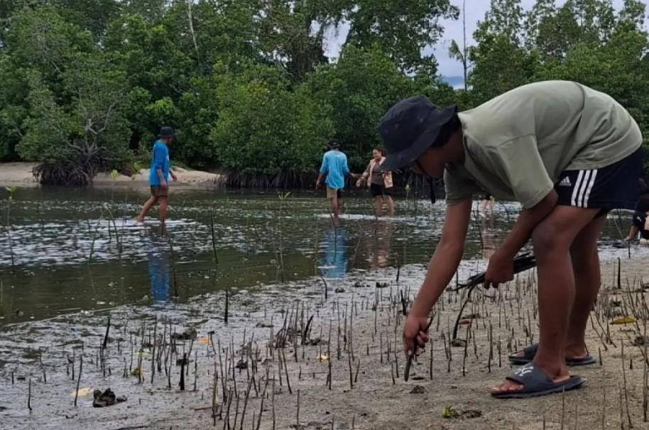 JICA dan Kemenhut Perkuat Pengelolaan Mangrove Berkelanjutan untuk Hadapi Perubahan Iklim
