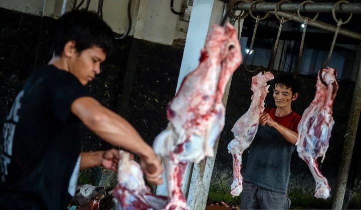 Dokter Kulit Bagikan Kiat Cegah Infeksi bagi Pemotong Hewan Kurban