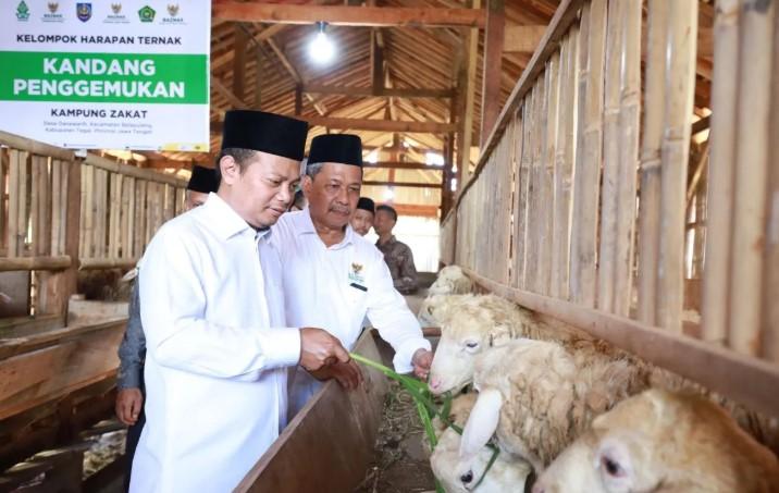Baznas Luncurkan Balai Ternak untuk Perkuat Ekonomi Peternak Mustahik di Tegal
