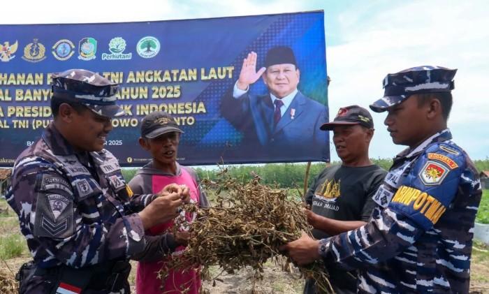 TNI AL Klaim Mampu Panen Kedelai Hingga Empat Ton per Hektare untuk Perkuat Ketahanan Pangan