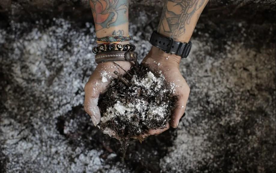 Peneliti BRIN Mengembangkan Minyak Bernilai Tinggi dari Limbah Ampas Kopi untuk Industri Pangan dan Kosmetik