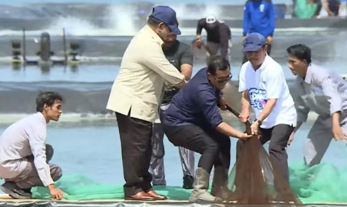 Presiden Prabowo Tinjau dan Ikut Panen Raya Udang di Tambak Modern Kebumen