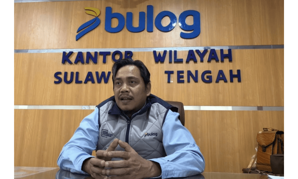 Bulog Sulteng Serap 8.700 Ton Beras hingga Mei 2026, Hampir Capai Target Tahunan