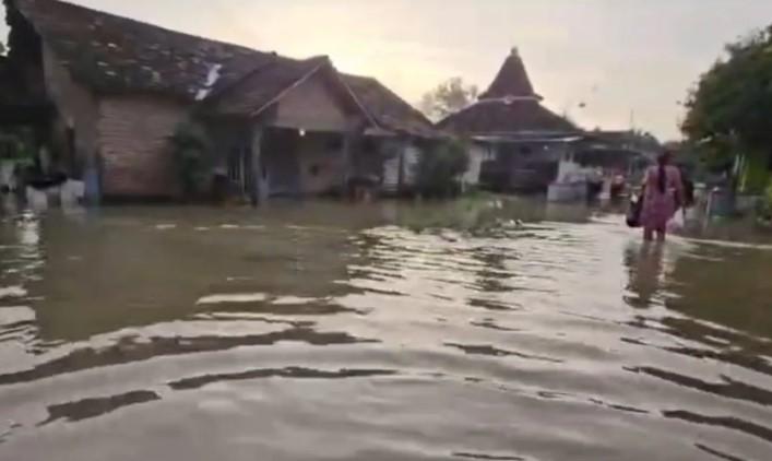 Hujan Lebat Picu Banjir di Pati, 538 Rumah Tergenang dan 1.050 Warga Terdampak