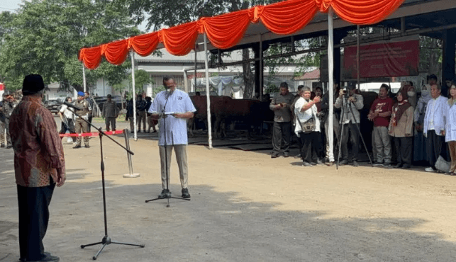 Pemprov DKI Perketat Pengawasan Hewan Kurban, Pastikan Bebas Penyakit Zoonosis Menjelang Idul Adha