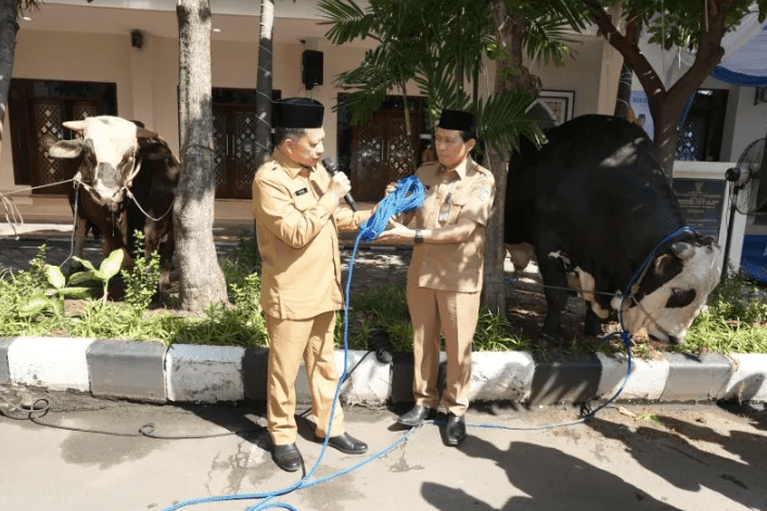 Mendagri Tito Karnavian Menyerahkan 360 Hewan Kurban Kemendagri dan BNPP untuk Masyarakat pada Idul Adha 1447 H