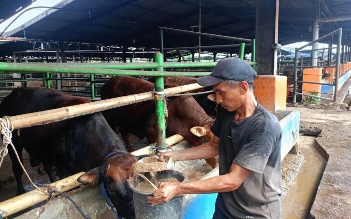 Pemkot Jakarta Timur Mengimbau Warga Jaga Kebersihan Saat Penyembelihan Hewan Kurban