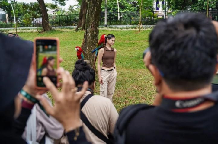 IAPVC 2026 Jadi Wadah Storytelling Satwa Liar Lewat Fotografi dan Videografi