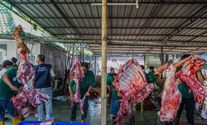 Spirit Kurban Dinilai Jadi Momentum Perkuat Gizi dan Ketahanan Generasi Indonesia