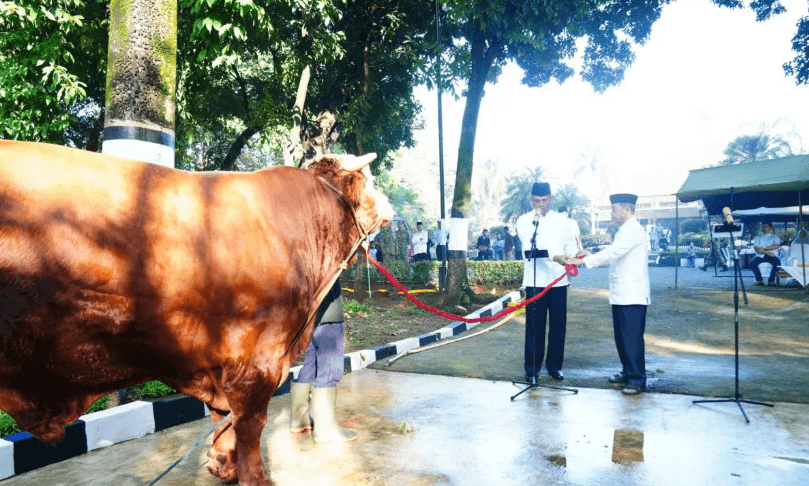 Mabes TNI Gelar Shalat Idul Adha dan Sembelih 20 Ekor Sapi Kurban di Cilangkap