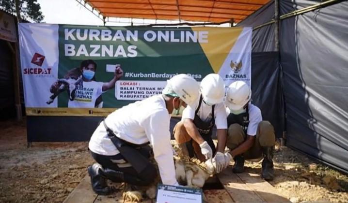 Layanan Kurban Online Tepercaya Jadi Solusi Kurban Last Minute di Idul Adha 2026