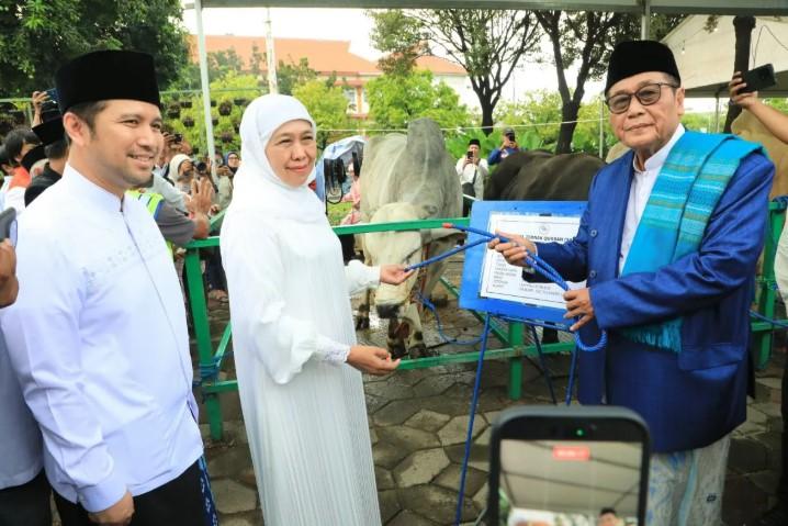 Khofifah Serahkan Sapi Kurban Presiden Prabowo ke Masjid Al Akbar Surabaya