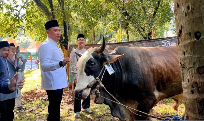 Kementan dan HKTI Salurkan 49 Hewan Kurban untuk Masyarakat pada Idul Adha 1447 Hijriah