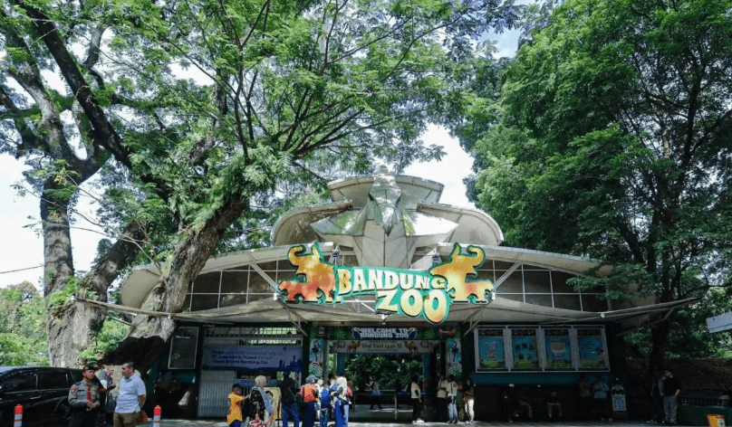 Pemkot Bandung Percepat Lelang Ulang Pengelolaan Bandung Zoo untuk Menarik Mitra Investasi Jangka Panjang