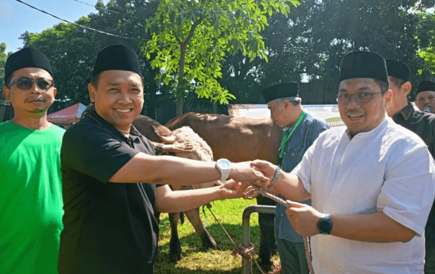PWNU DKI Jakarta dan Dharma Jaya Terapkan Sistem Modern dalam Penyembelihan 13 Hewan Kurban di Idul Adha 1447 H