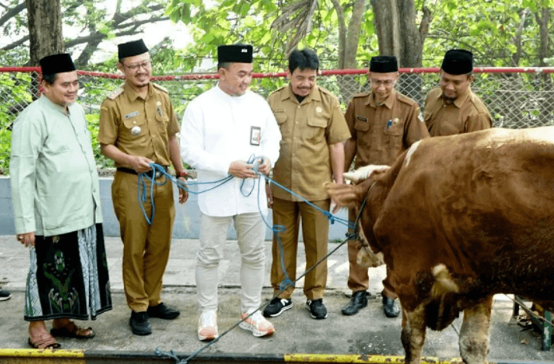 SIG Salurkan 292 Hewan Kurban di 19 Provinsi untuk Perkuat Kepedulian Sosial pada Idul Adha 2026