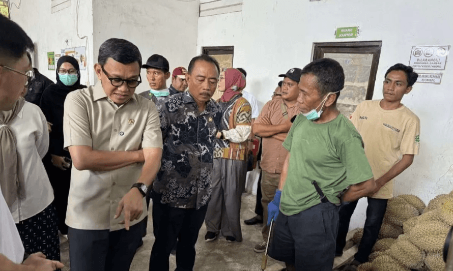 Barantin Dorong Penguatan Ekosistem Ekspor Durian Parigi Moutong untuk Tingkatkan Kualitas dan Daya Saing Global