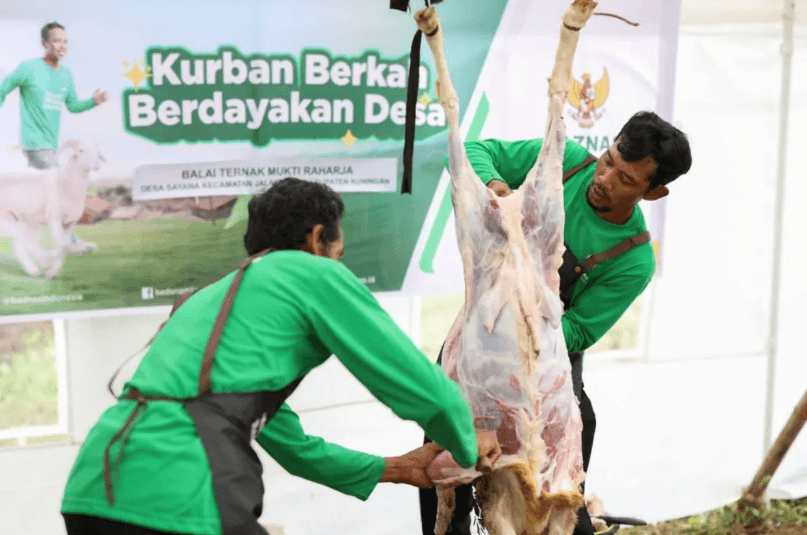 Baznas RI Memberdayakan 2.089 Peternak Mustahik di 15 Provinsi melalui Program Kurban Berkah 2026