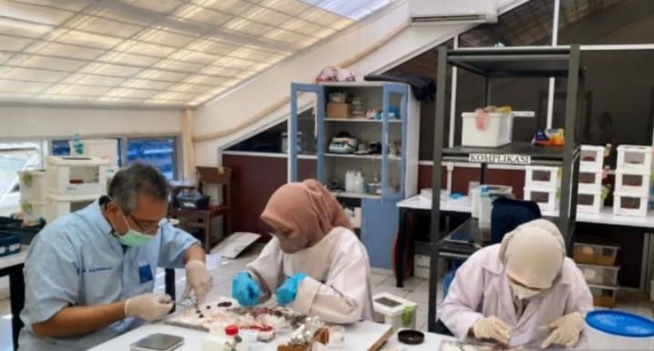 UNAND Teliti Tanaman Lokal untuk Pengobatan Diabetes dan Hipertensi