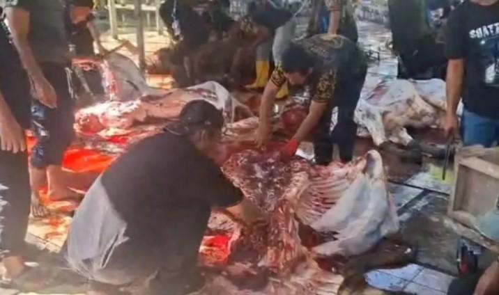Sudin KPKP Jakarta Timur Temukan 55,7 Kilogram Organ Hewan Kurban Tak Layak Konsumsi