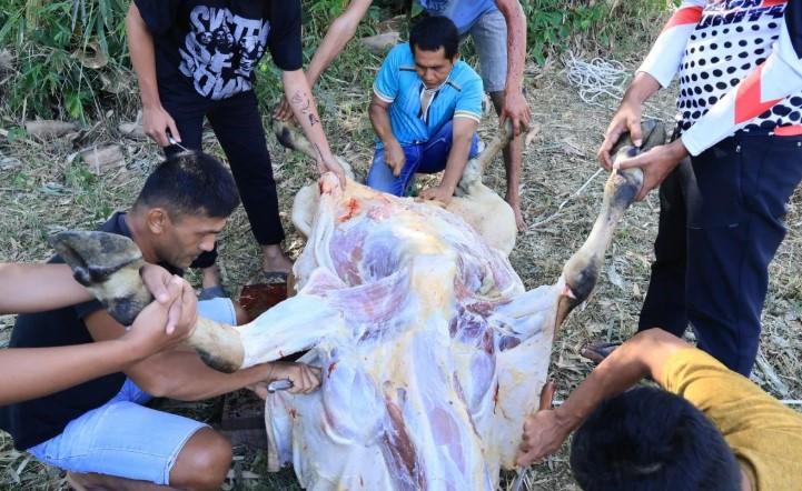 Pakar Unand Ingatkan Bahaya Pencampuran Jeroan dan Daging Kurban yang Berisiko Cemari Kesehatan