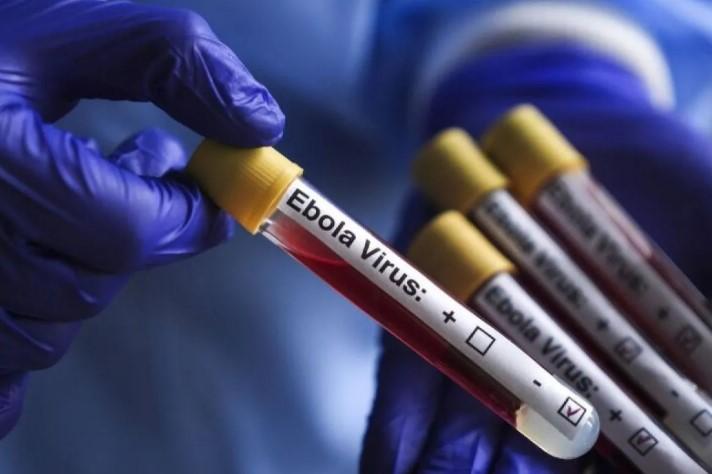 WHO Peringatkan Tingkat Kematian Ebola Bundibugyo Bisa Mencapai 50 Persen