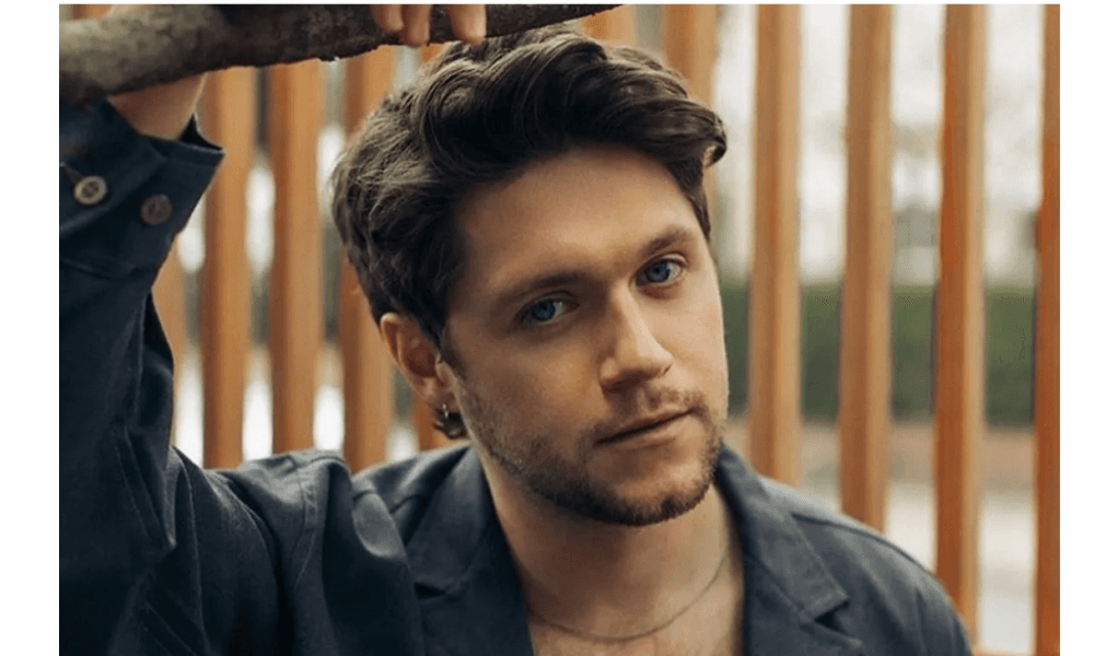 Niall Horan Kenang Persahabatan dengan Liam Payne dan Dedikasikan Lagu di Album Terbarunya
