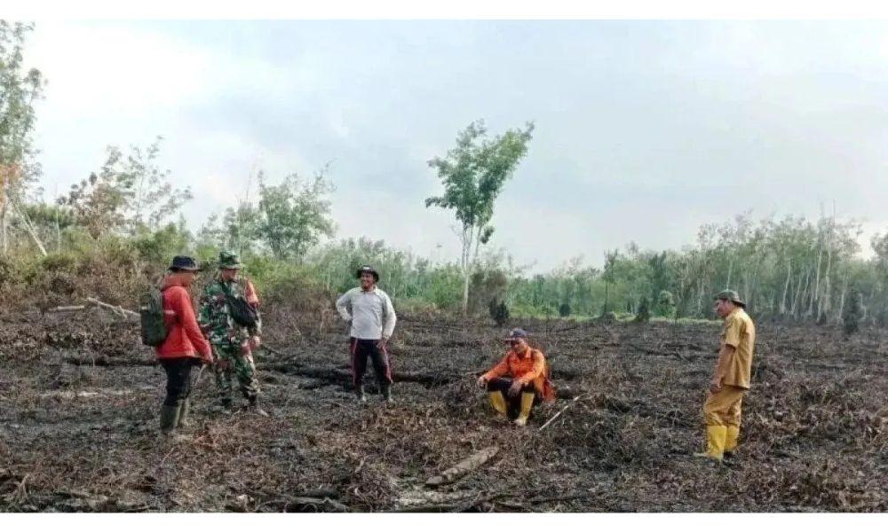 Luas Karhutla di Sumsel Capai 182,54 Hektare, Musi Rawas Utara Tertinggi