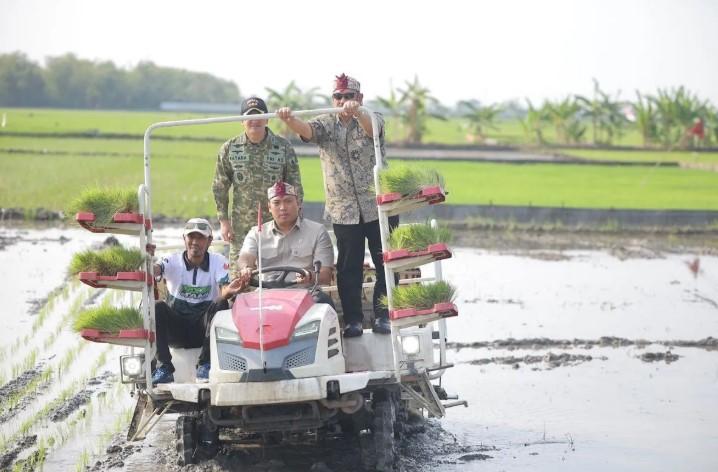 Wamentan Sudaryono Akselerasi Tanam Padi 750 Hektare di Lamongan untuk Antisipasi Dampak El Nino