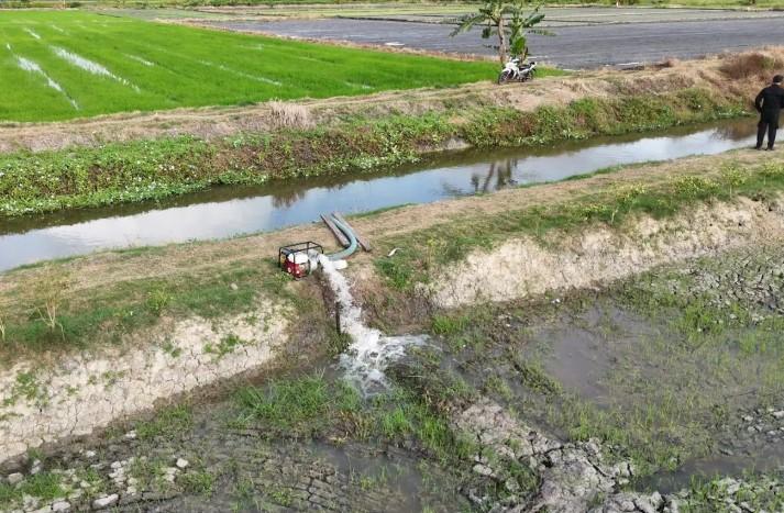 Kementan Perkuat Pengawalan Sentra Pangan Merauke untuk Antisipasi Dampak El Nino
