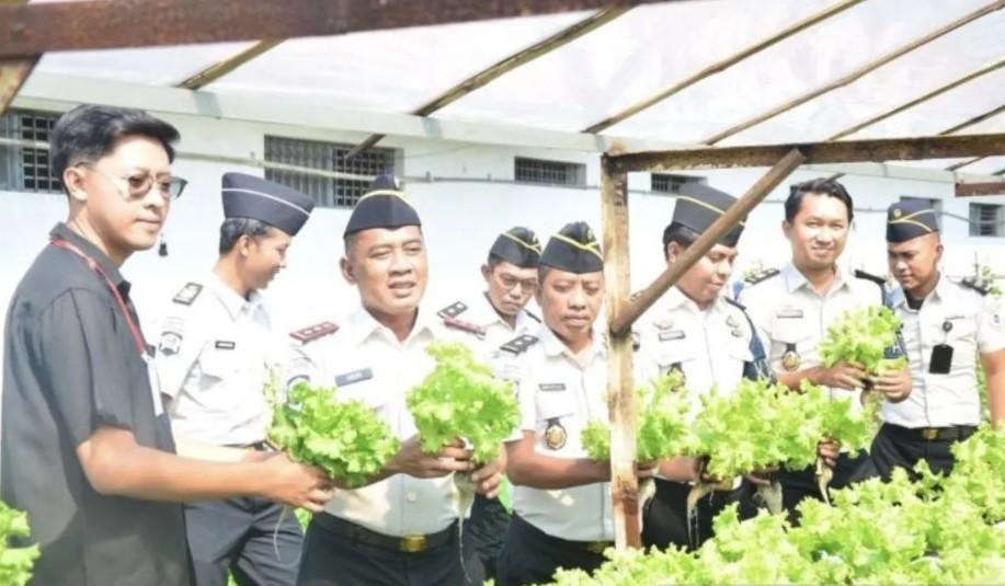 Lapas Lamongan Pasok Selada Hidroponik untuk Dukung Program Makan Bergizi Gratis di Laren