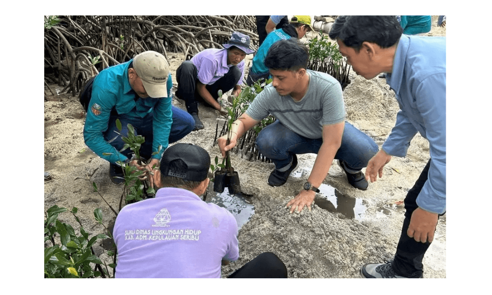 Pemkab Kepulauan Seribu Lepas 50 Tukik dan Tanam 500 Mangrove di Pulau Sabira untuk Peringati Hari Lingkungan Hidup 2026