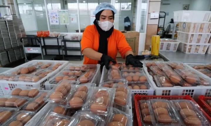 Klaim BGN Pesan 700 Juta Telur dari China untuk Program MBG Dipastikan Hoaks