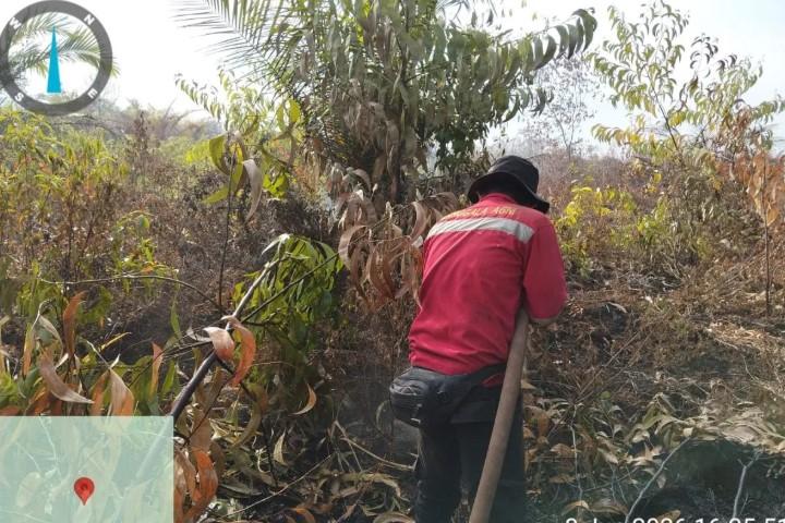 Manggala Agni Tuntaskan Pemadaman Karhutla 108 Hektare di Bengkalis Riau