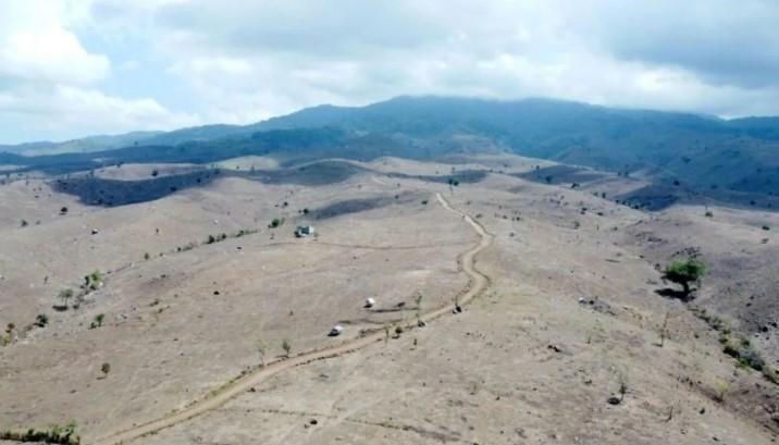 Deforestasi dan Ekspansi Jagung Jadi Alarm Pemulihan Lanskap Hijau di Nusa Tenggara Barat