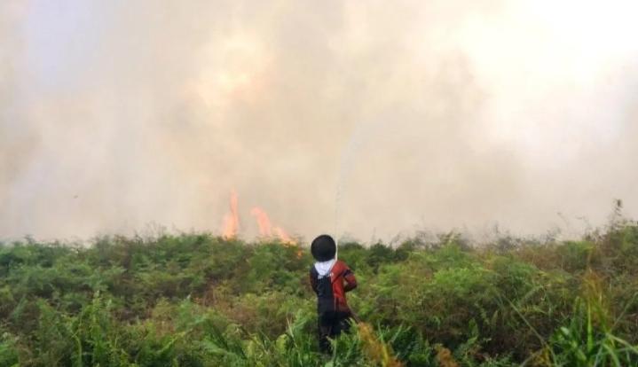 HAkA Ungkap Citra Satelit Mendeteksi Sekitar 280 Hektare Lahan Terbakar di Aceh Barat