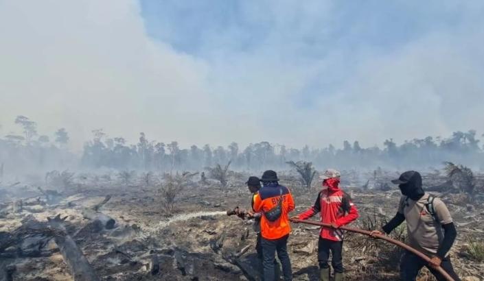 Karhutla di Aceh Barat Meluas Menjadi 31,1 Hektare dan Menjangkau Lima Kecamatan