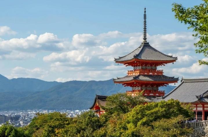 Kuil Torin di Kyoto Menggelar Acara Khusus Menikmati Gugurnya Bunga Stewartia hingga Akhir Juni 2026