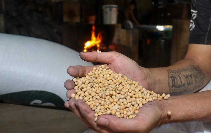 Indef Dorong Pemerintah Perkuat Insentif Produksi Kedelai Demi Ketahanan Pangan Nasional