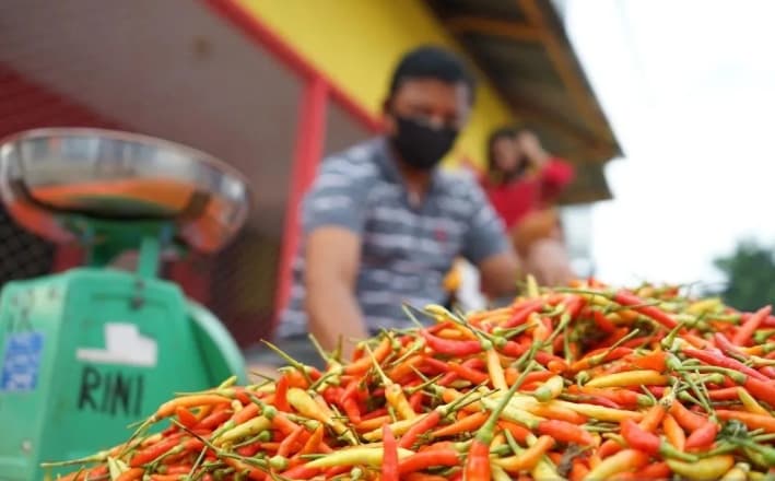 Harga Cabai Rawit Merah Capai Rp74.550 per Kilogram, PIHPS Catat Telur Ayam Rp30.100