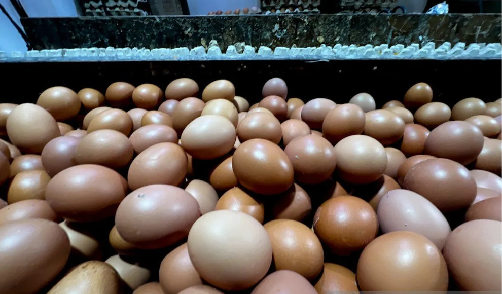 Harga Cabai Rawit Merah dan Daging Sapi Kualitas I Masih Tinggi, PIHPS Catat Variasi Harga Pangan Nasional