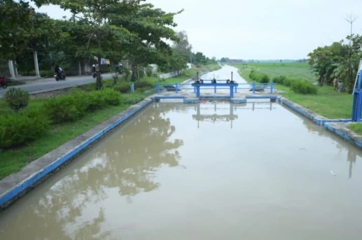 Pengamat Sebut Inpres Irigasi Jadi Kunci Ketahanan Pangan Hadapi Ancaman El Nino