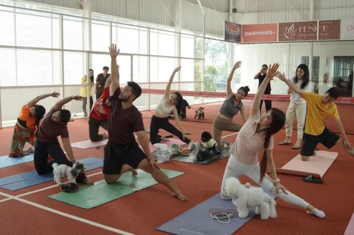 JIPS 2026 Siap Digelar di Jakarta, Hadirkan Mini Zoo hingga Yoga Bersama Hewan Peliharaan