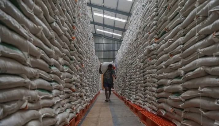 Bapanas Sebut Produksi Beras Indonesia Tertinggi di Asia Tenggara dan Peringkat Keempat Dunia
