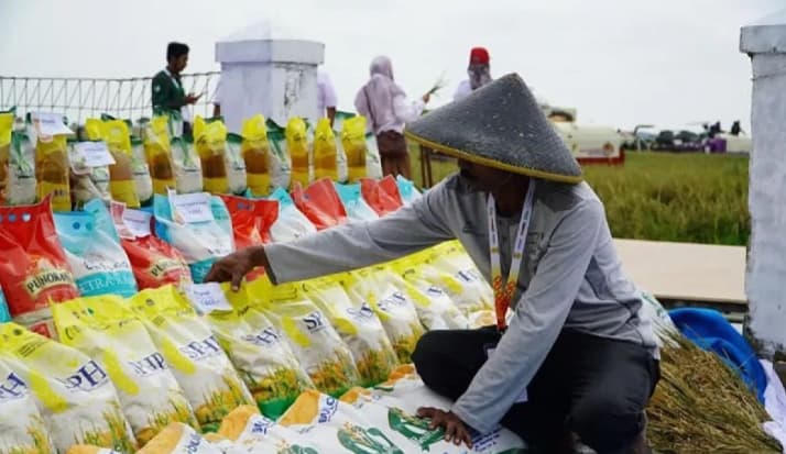 Bapanas Sebut 7,7 Juta Ton Cadangan Beras Pemerintah Disalurkan ke Masyarakat dalam Tiga Tahun
