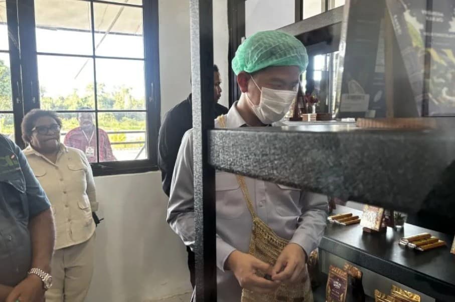 Gibran Tinjau Sentra Kakao Papua Barat, Tanam Bibit dan Lihat Langsung Proses Produksi Cokelat