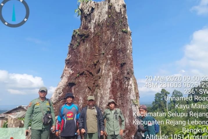 Kerusakan Hutan TNKS Bengkulu Tembus 10.000 Hektare, Pembalakan Liar dan Perambahan Jadi Pemicu