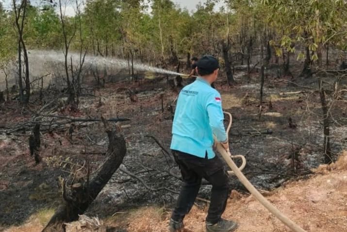 BNPB Intensifkan Penanganan Karhutla yang Hanguskan 5,3 Hektare Lahan di Kabupaten Banjar