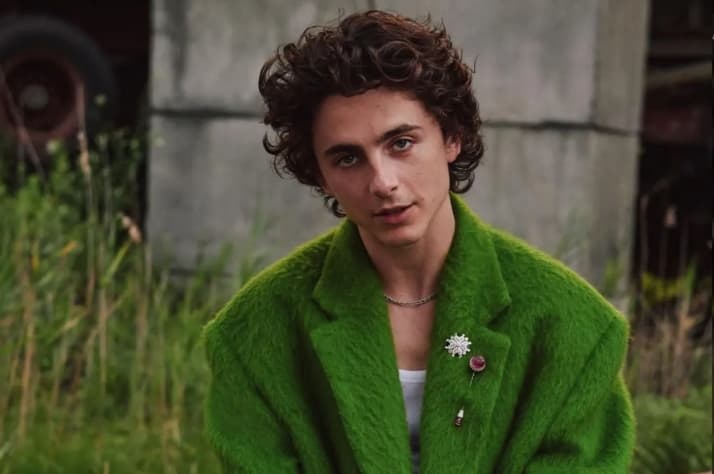 Timothee Chalamet dan Selena Gomez Dipastikan Bintangi Film Animasi Alien "Not Alone"