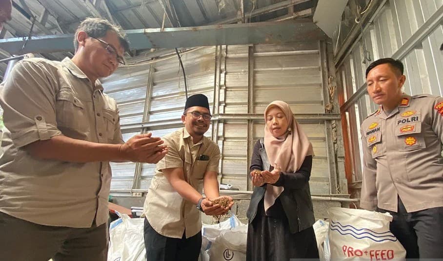 IPB University Kembangkan Pakan Komplit Fermentasi Berbasis Biomassa untuk Peternak Garut